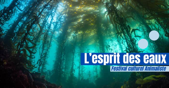 Illustration de l'événement : FESTIVAL ANIMALISTE | L'esprit des eaux
