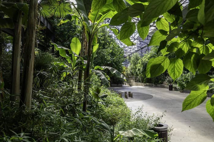 Illustration de l'événement : Découverte du Jardin des Fonderies