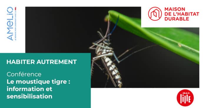 Illustration de l'événement : Le moustique tigre : information et sensibilisation