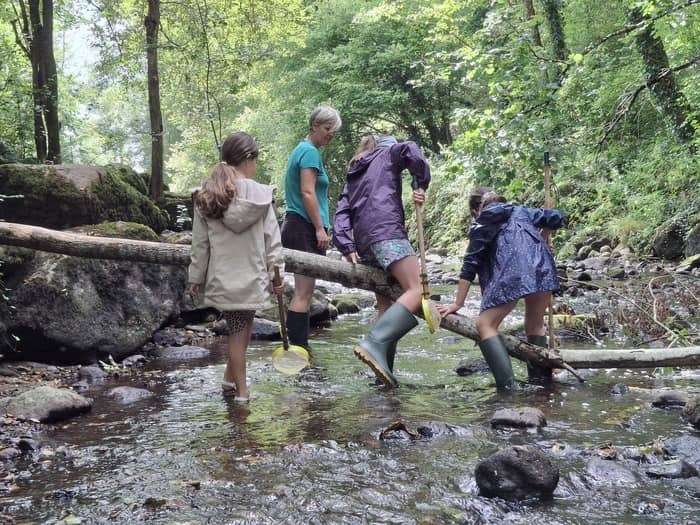 Illustration de l'événement : Que de vie dans la rivière !