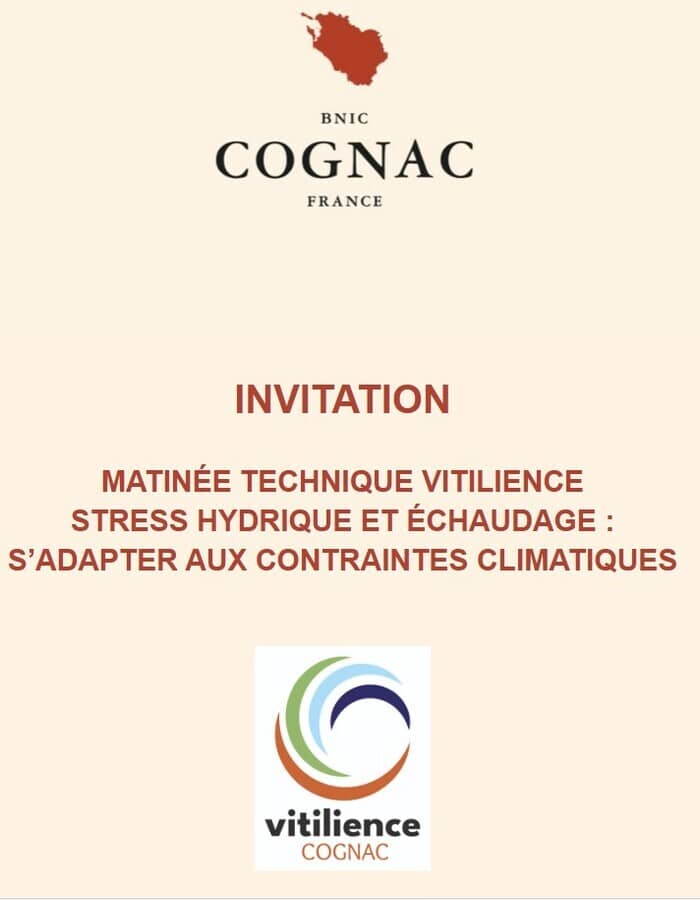 Illustration de l'événement : MATINÉE TECHNIQUE VITILIENCE STRESS HYDRIQUE ET ÉCHAUDAGE : S’ADAPTER AUX CONTRAINTES CLIMATIQUES