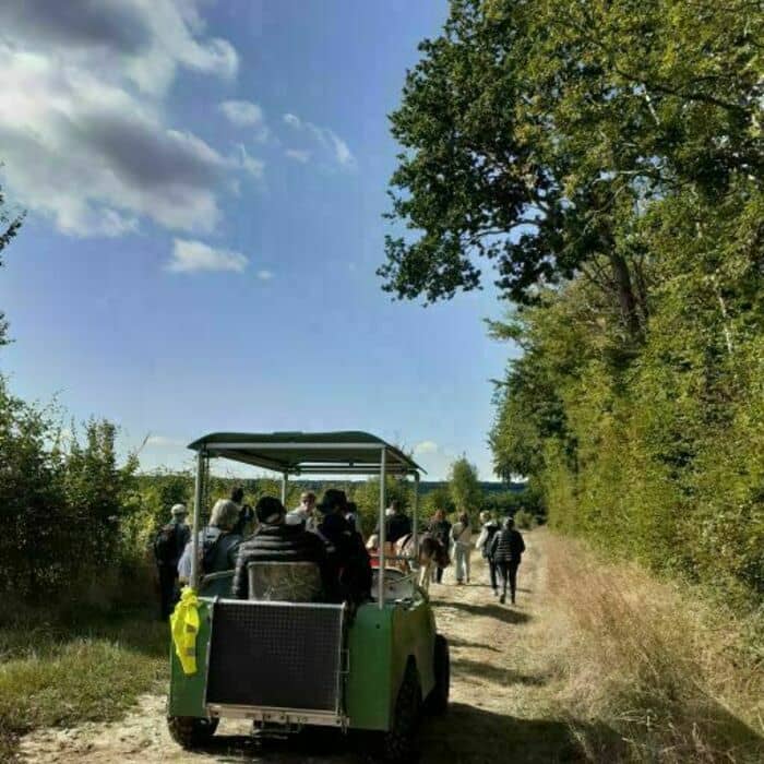 Illustration de l'événement : Escapade au pas de l'âne ouverte aux personnes à mobilité réduite