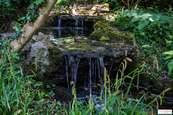 Illustration de l'événement : Annulée ***** 🌿Balade guidée estivale :🚶‍♀️ Balade nature au parc Edmond-de-Rothschild- BOULOGNE-BILLANCOURT