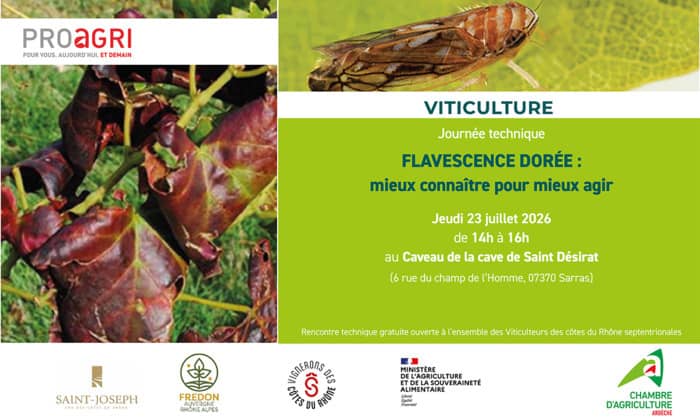 Illustration de l'événement : Réunion technique – Flavescence dorée : réglementation et moyens de lutte