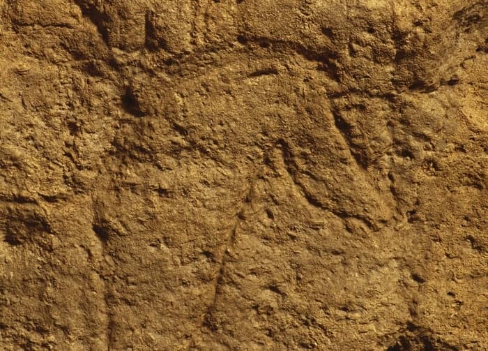 Illustration de l'événement : Visite guidée de la Grotte de Pair-non-Pair