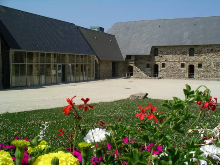 Illustration de l'événement : Visite guidée des réserves du musée