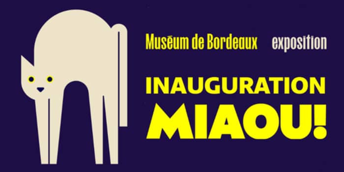 Illustration de l'événement : Inauguration exposition Miaou!