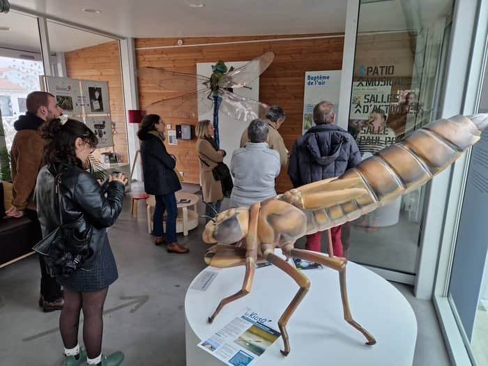 Illustration de l'événement : Exposition Libellules