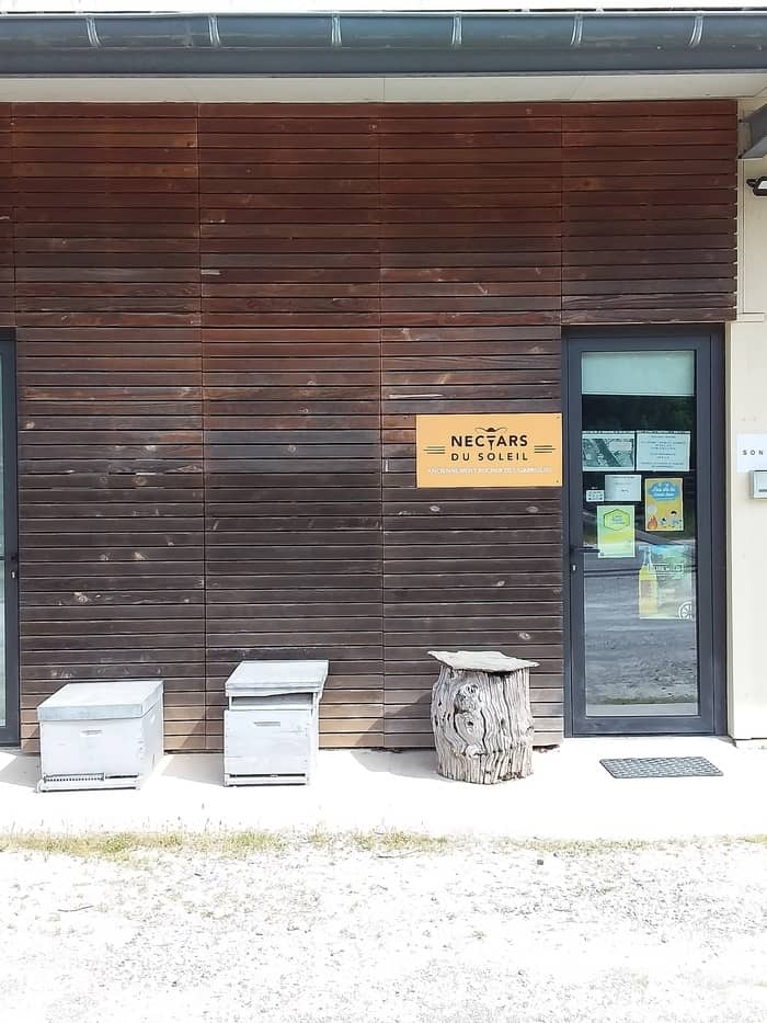 Illustration de l'événement : Découvrez la vie des abeilles en vous amusant