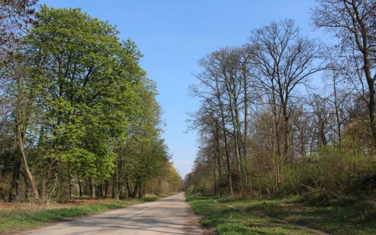 Illustration de l'événement : La nature au bois de Vincennes
