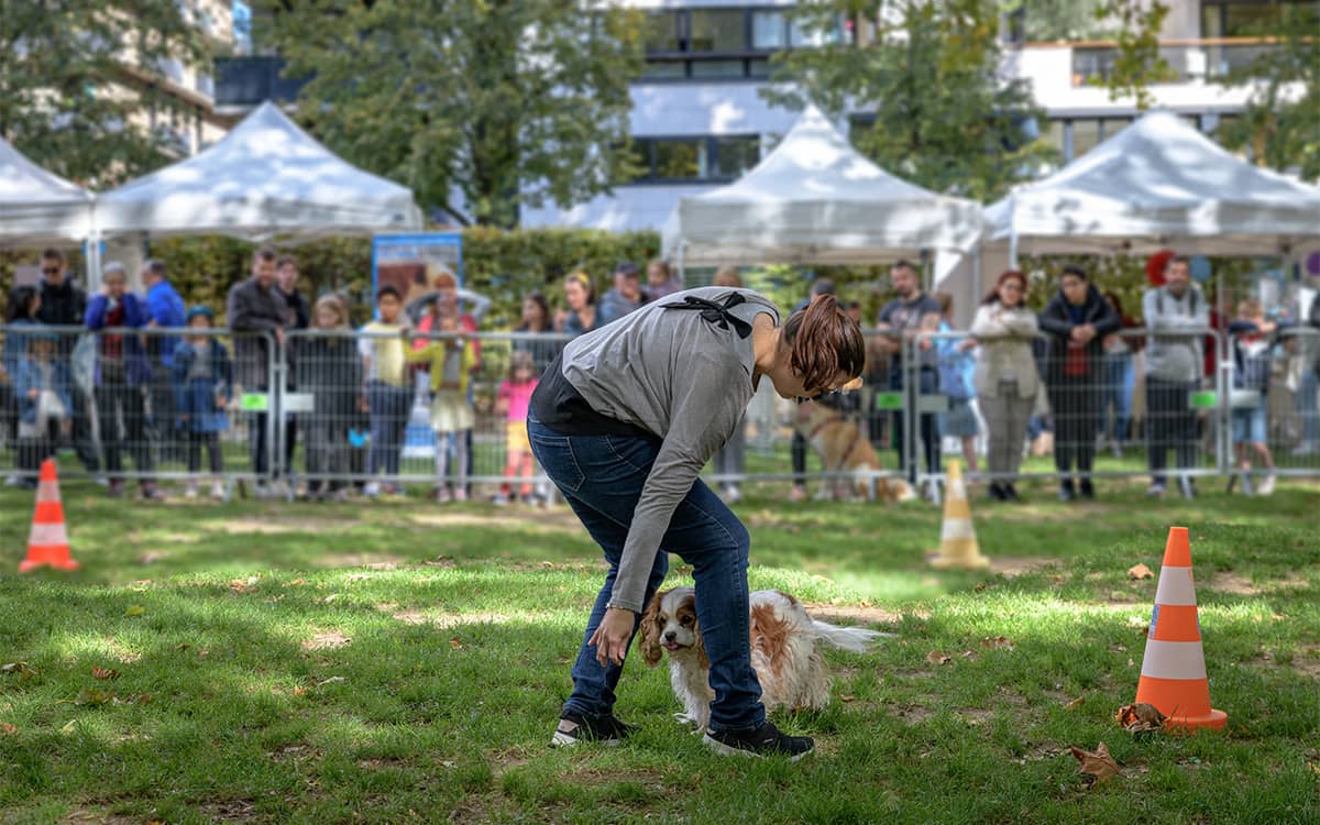 Illustration de l'événement : La Fête de l'animal en ville est de retour