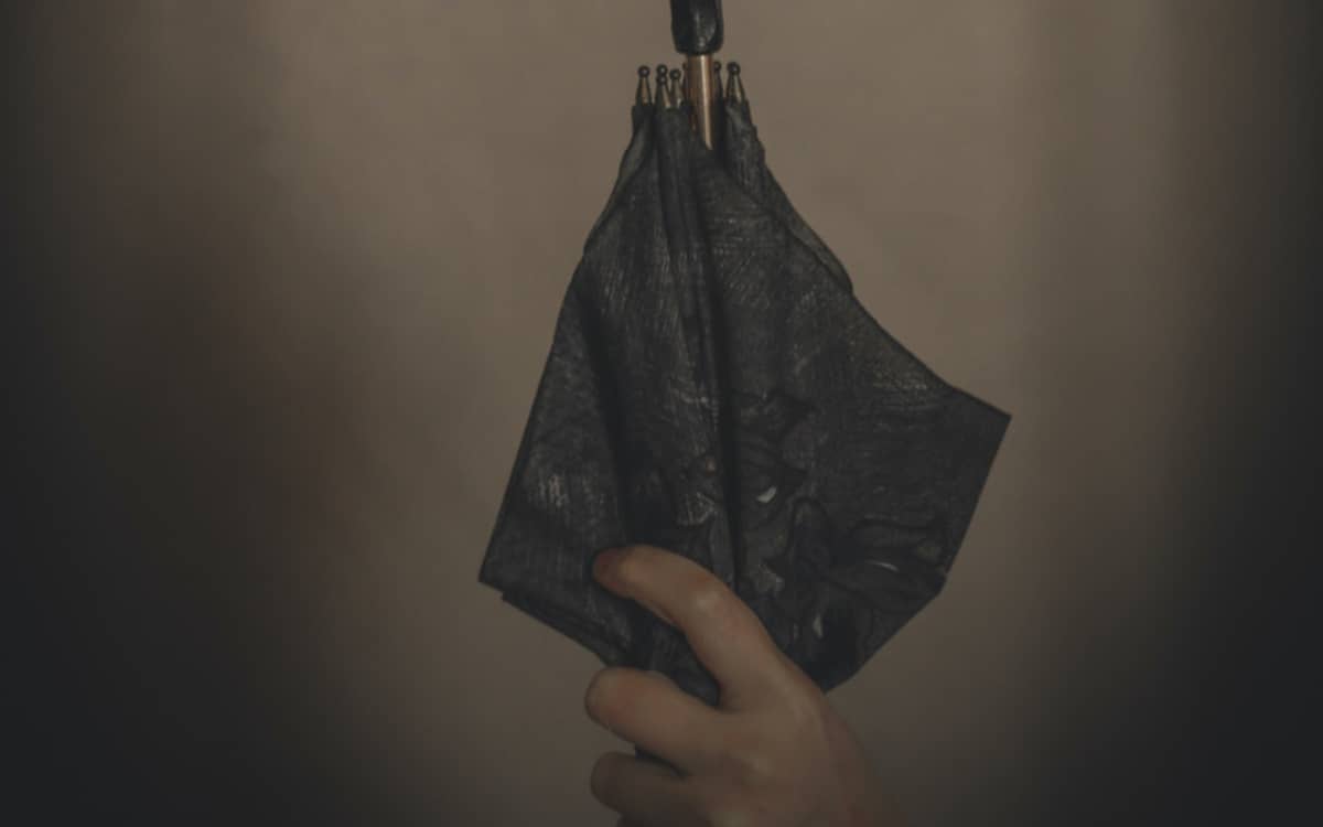 Illustration de l'événement : Le Parapluie de Rosa Parks : journées du matrimoine