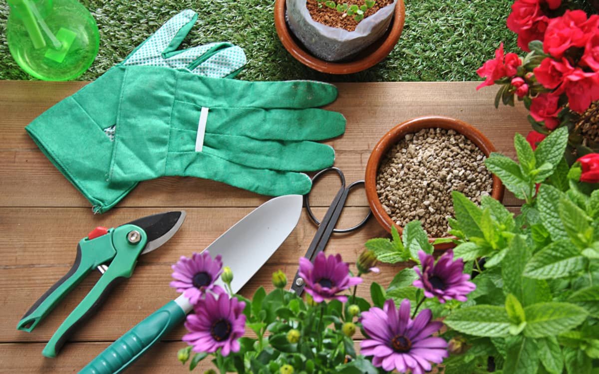 Illustration de l'événement : Troc au jardin