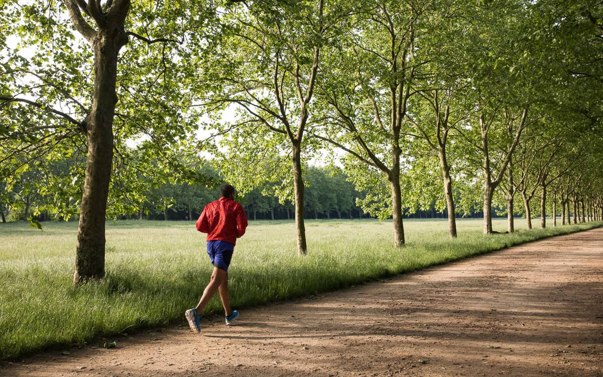 Illustration de l'événement : Inscrivez-vous au Viti-trail 2026