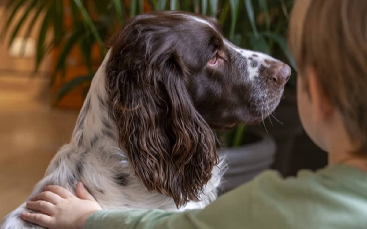 Illustration de l'événement : Dans la peau d'un chien
