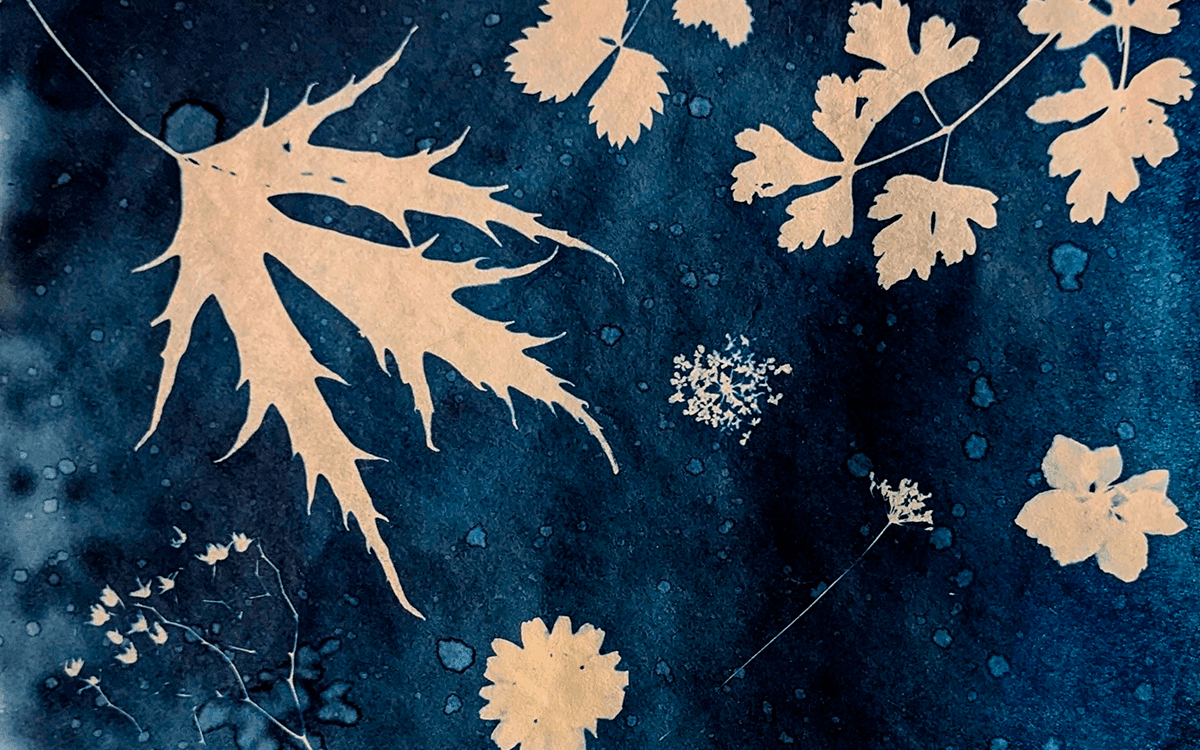 Illustration de l'événement : Atelier de cyanotype samedi 26 septembre 14 h 30, Paris 20