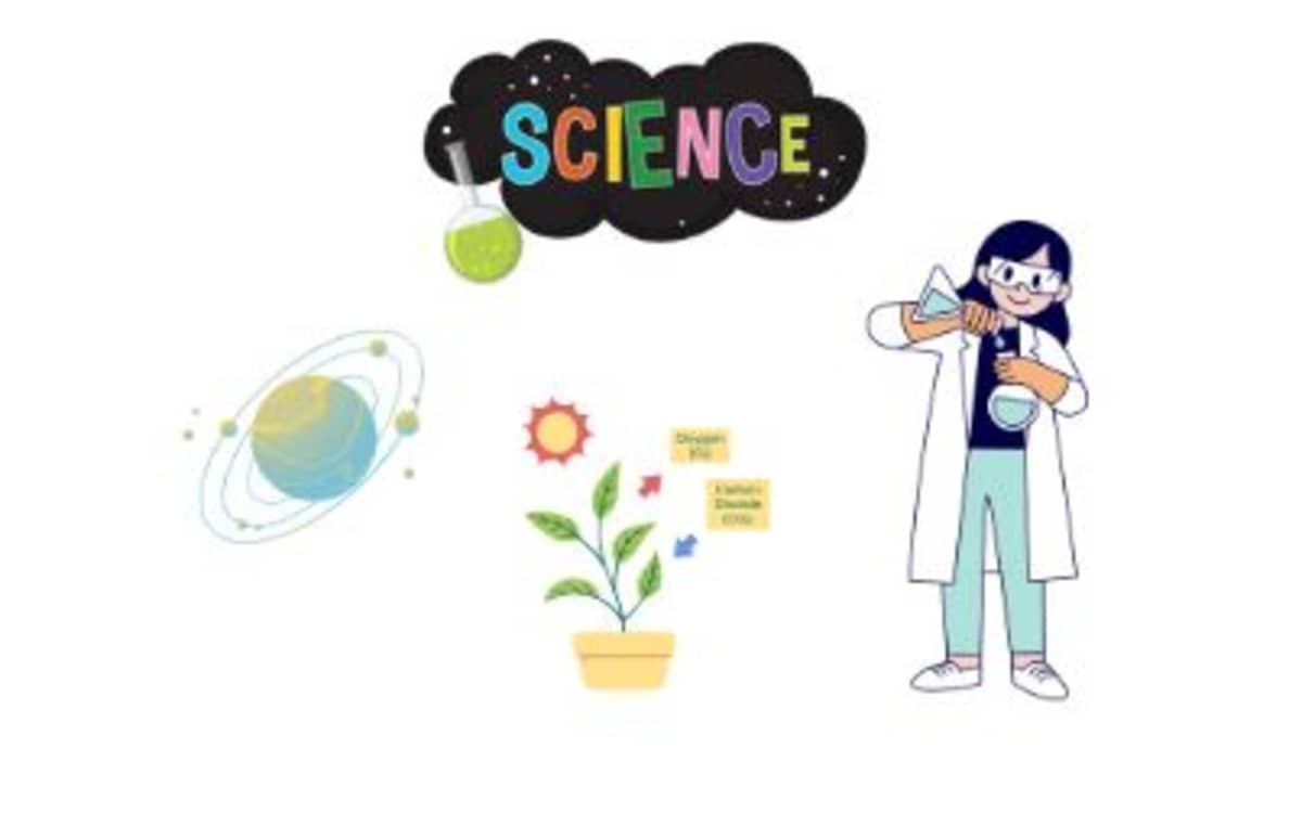 Illustration de l'événement : Graine de science : De la graine à la plante !