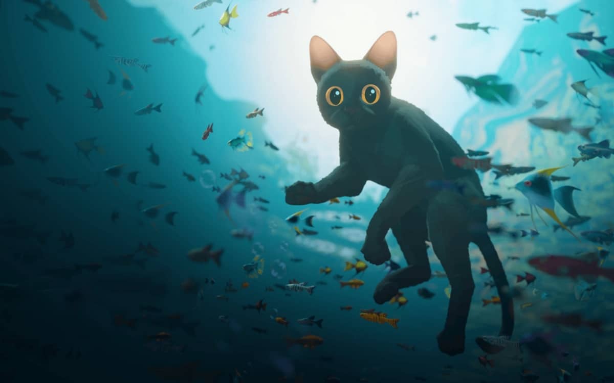 Illustration de l'événement : Samedi cinéma : "Flow"
