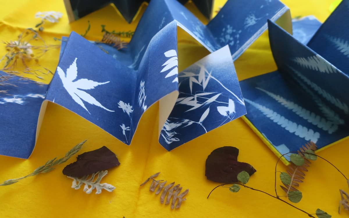 Illustration de l'événement : Atelier haïkus et cyanotypes