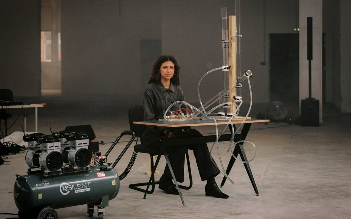 Illustration de l'événement : AMINA HOCINE / TORNMUSIC - for sculpture