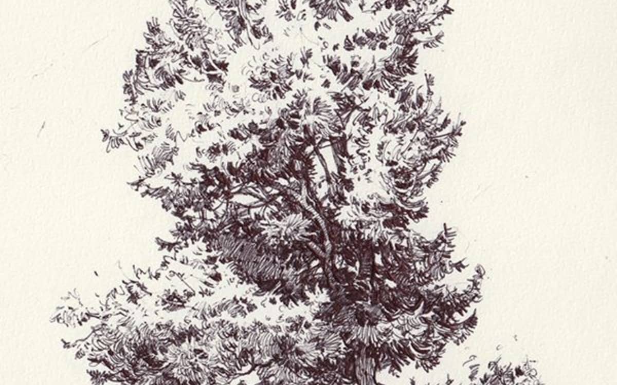 Illustration de l'événement : Stage de dessin du paysage