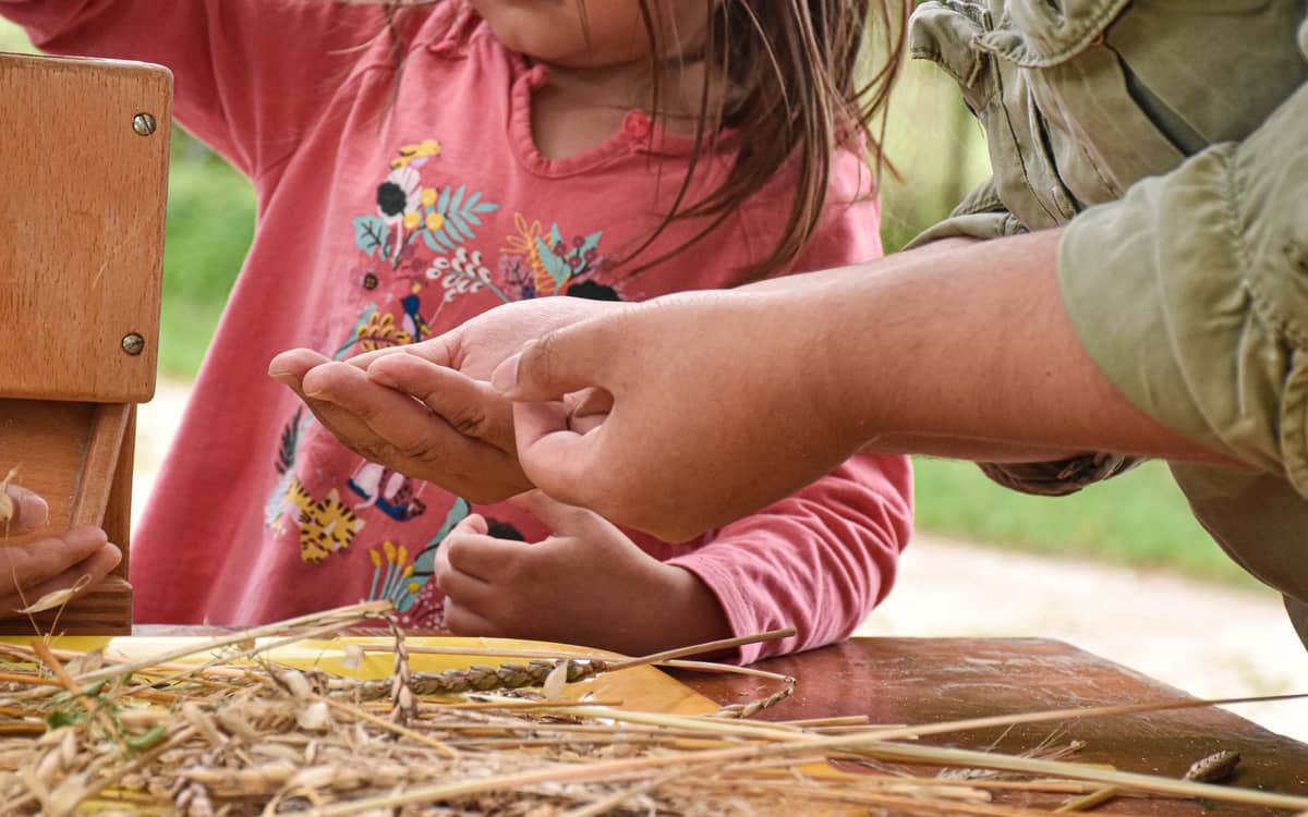 Illustration de l'événement : Atelier pratique à la Ferme pédagogique René-Binet dans le 18e