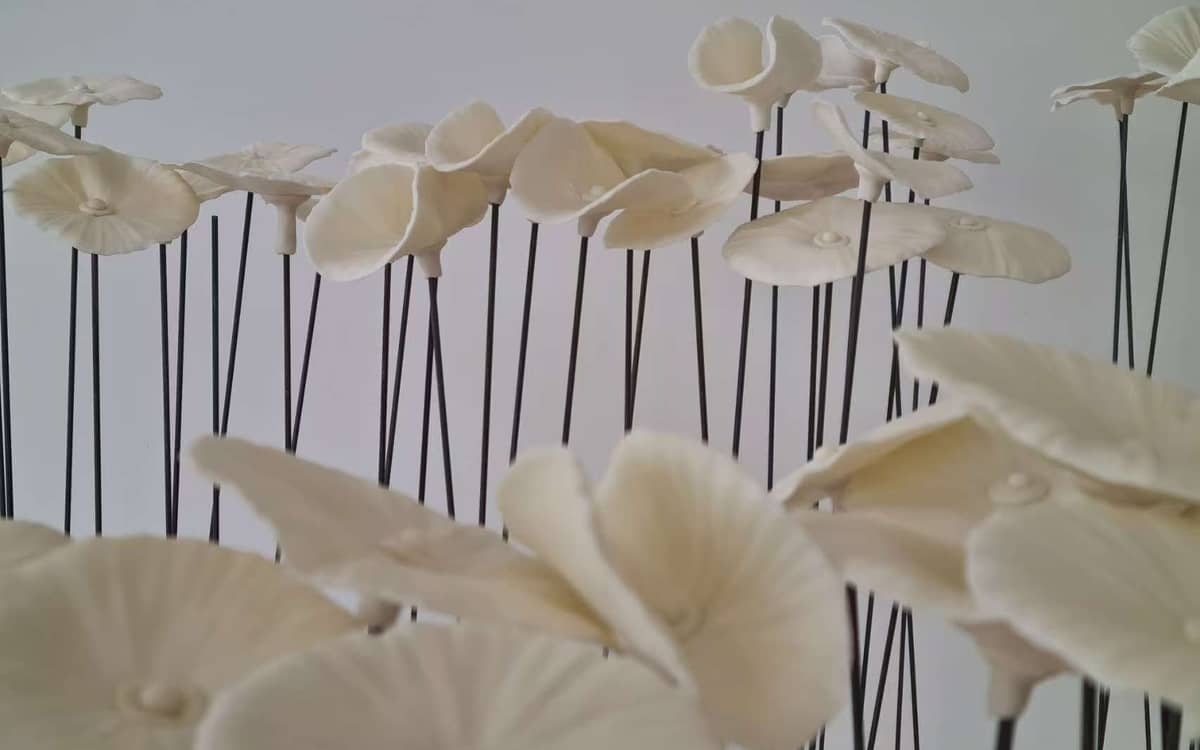 Illustration de l'événement : Exposition solo « Alice au royaume illusoire » : XiaoWei Yuan