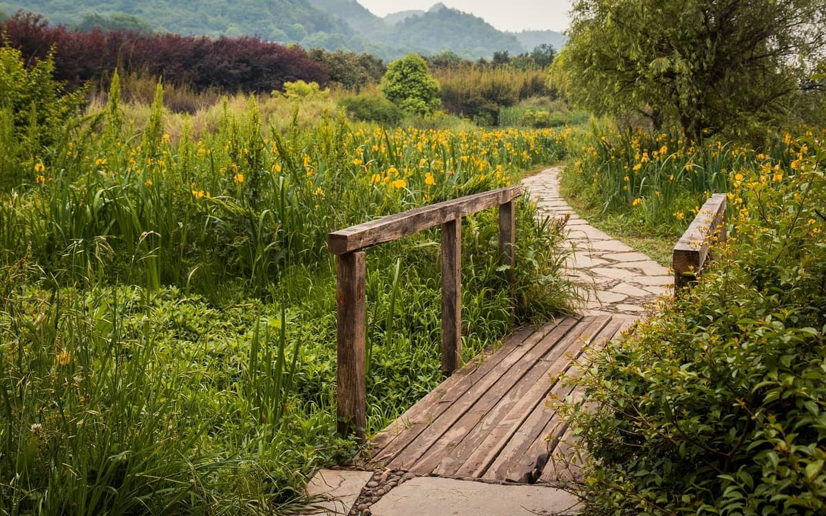 Illustration de l'événement : Un pont entre la nature et les Hommes