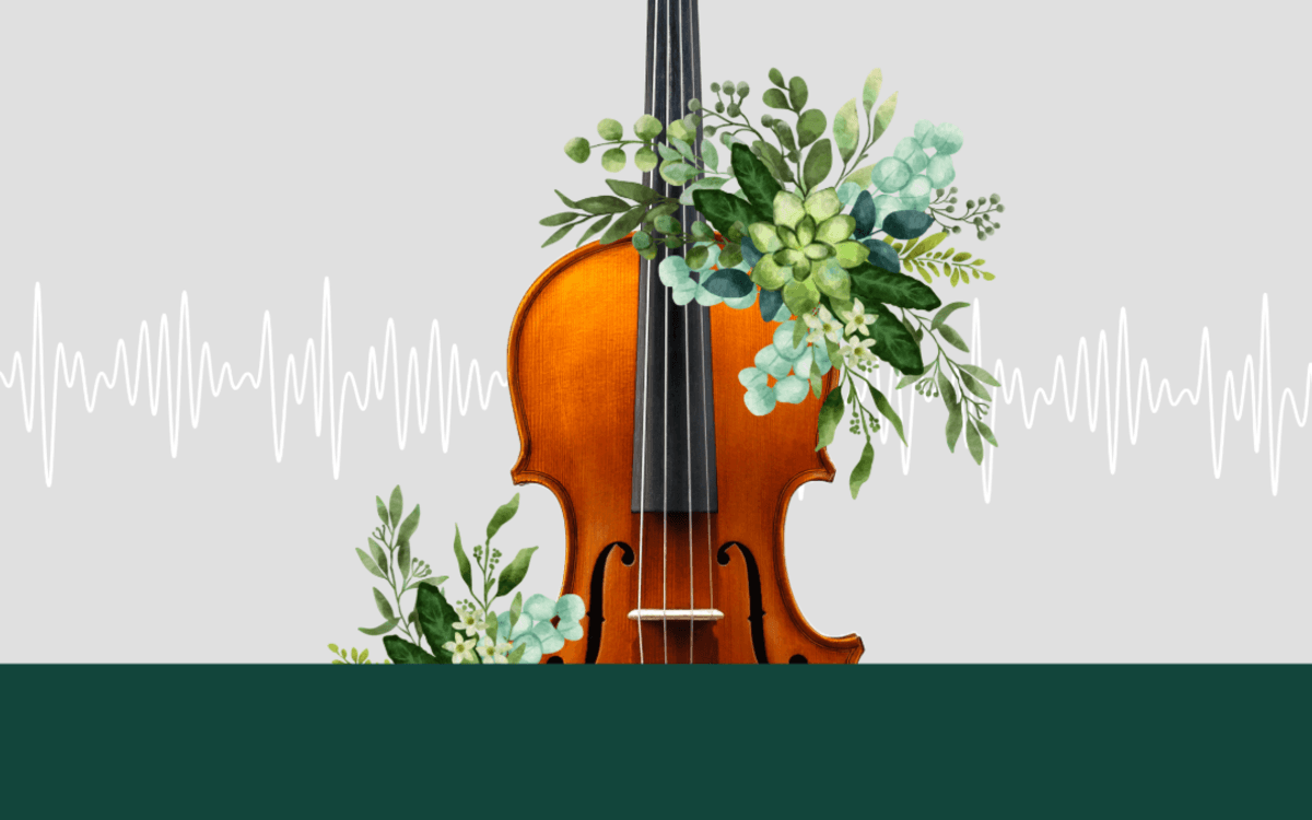 Illustration de l'événement : Les violons ambulants