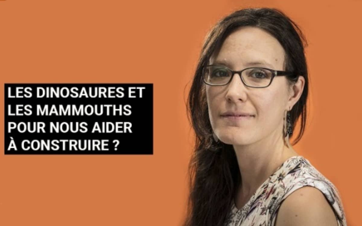 Illustration de l'événement : La paléo-bioinspiration : quand les fossiles inspirent le futur