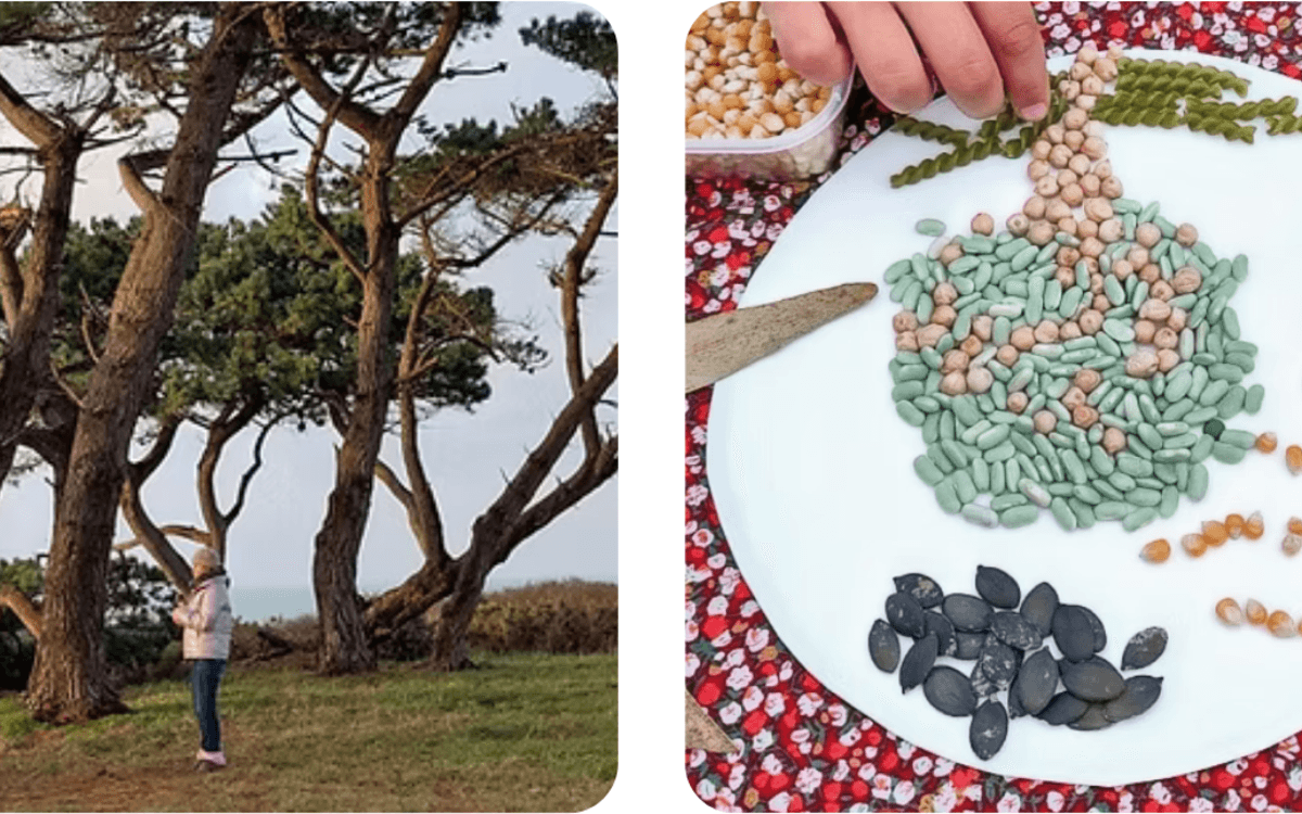 Illustration de l'événement : Yoga de l'arbre suivi d'un atelier créatif land art