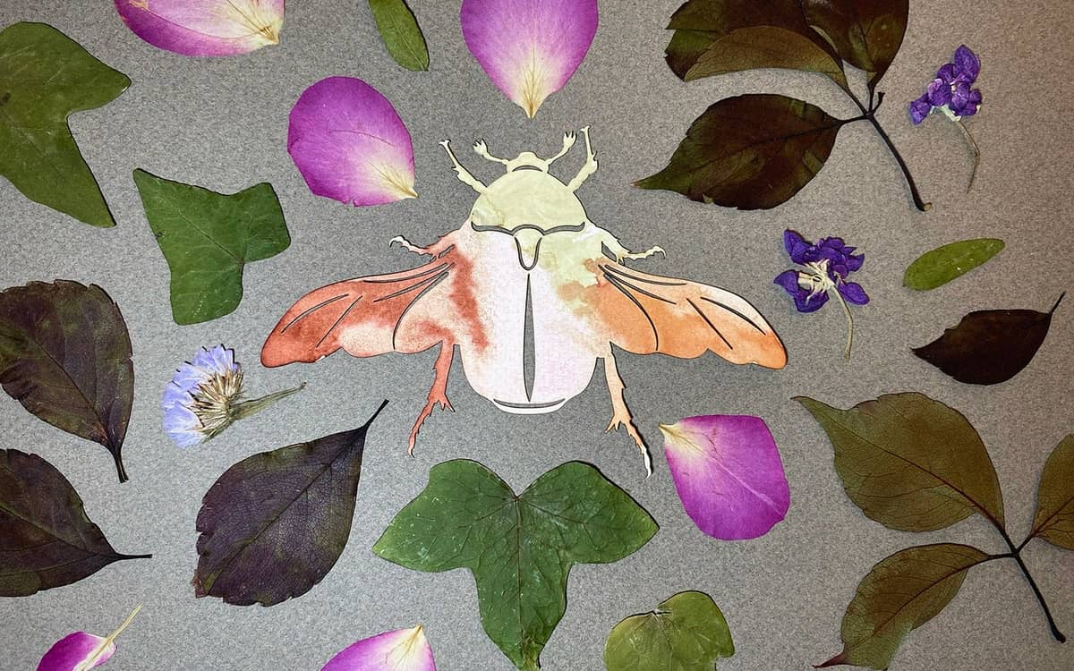Illustration de l'événement : Stage vacances enfants 6-11 ans — S’émerveiller face au vivant – Stop motion avec Laure Chapalain