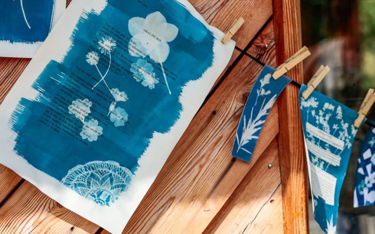 Illustration de l'événement : Atelier Cyanotype