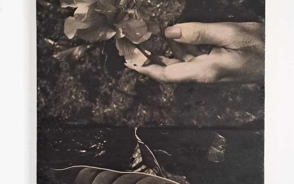 Illustration de l'événement : Stage vacances ados 12-15 ans — Entre image et matière avec Ana Tamayo