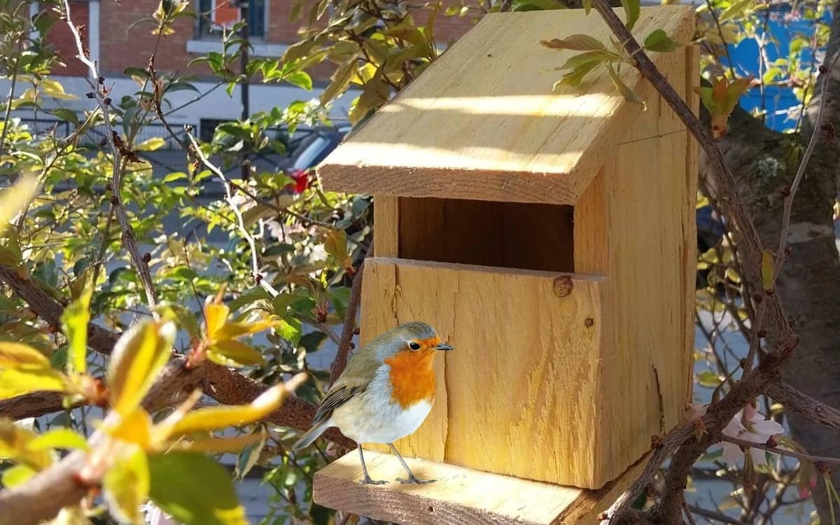 Illustration de l'événement : Fabriquez votre nichoir à oiseaux en duo parent-enfant