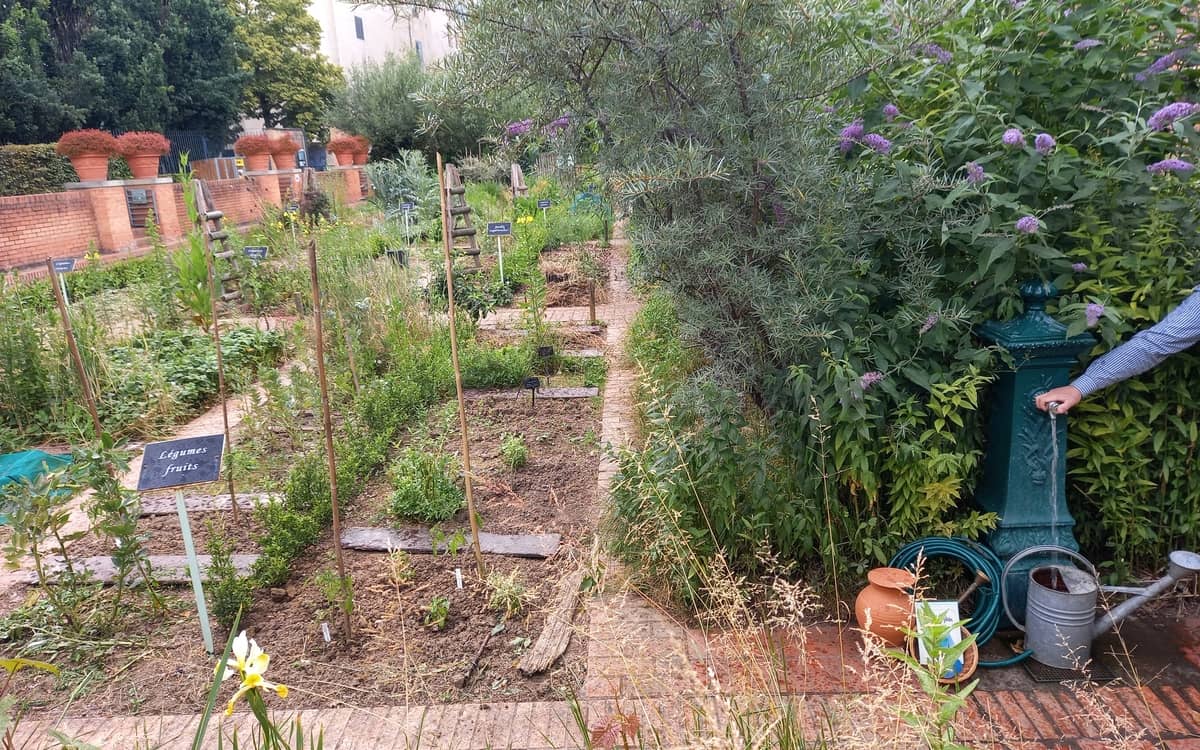 Illustration de l'événement : Rendez-vous au jardin !