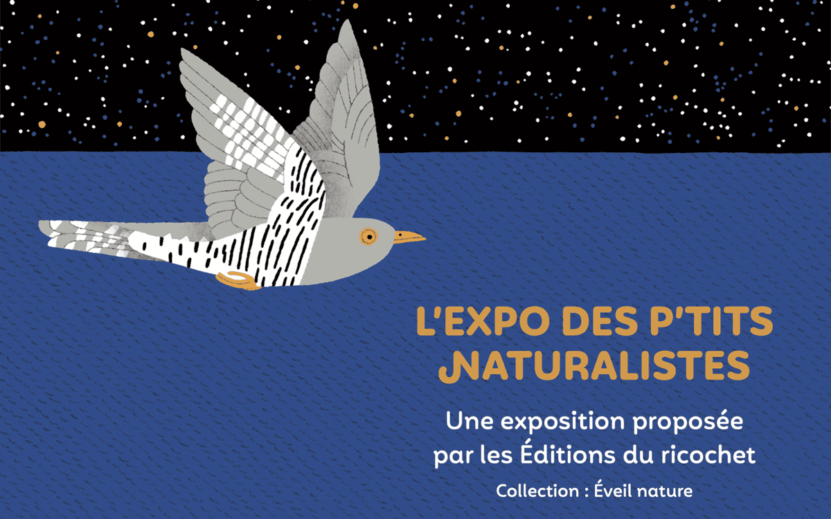 Illustration de l'événement : Exposition | Les P'tits naturalistes