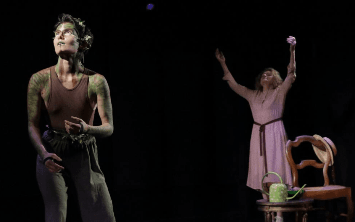 Illustration de l'événement : Spectacle familial : Clémentine et Pensée de la forêt