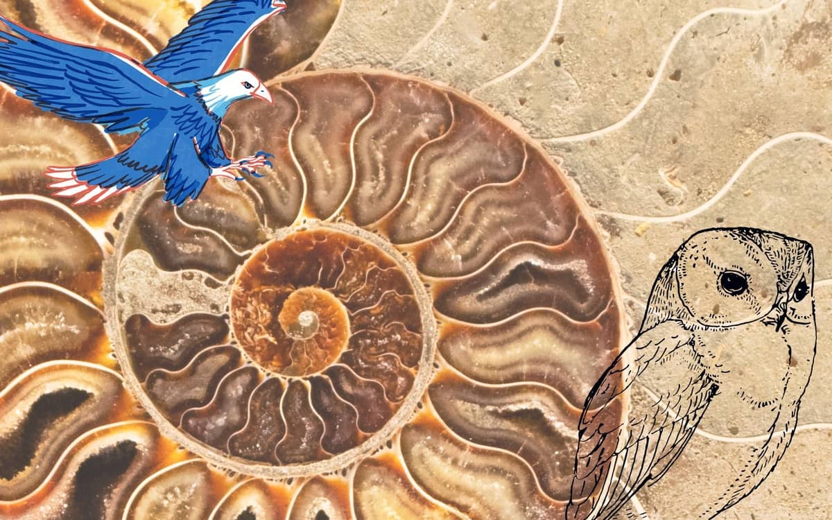 Illustration de l'événement : La machine biomimétique