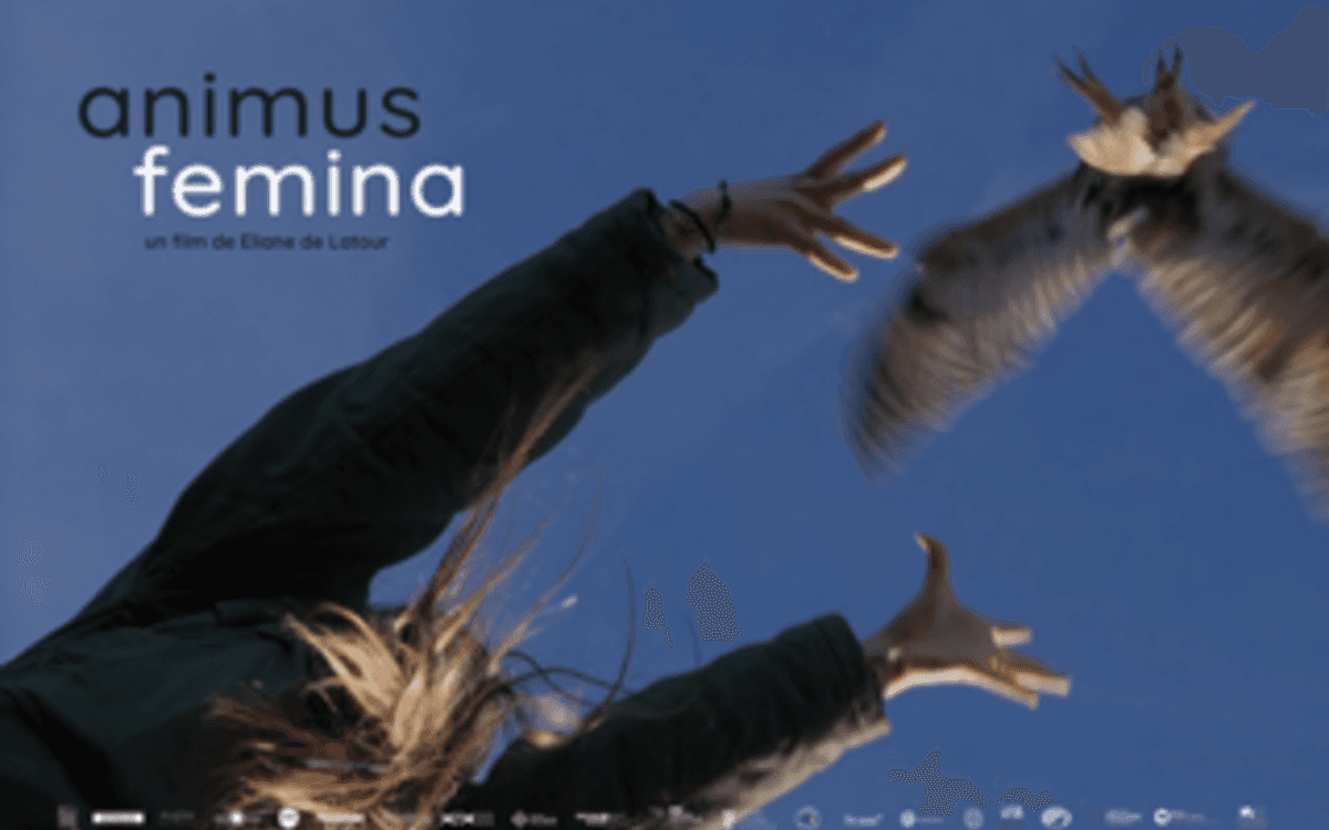 Illustration de l'événement : Animus femina : projection-débat en présence d'Eliane de Latour