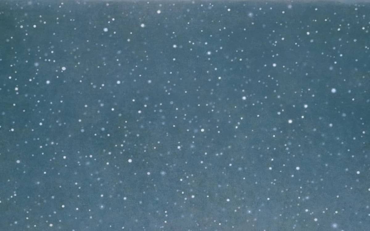 Illustration de l'événement : Contrepoint contemporain. Vija Celmins