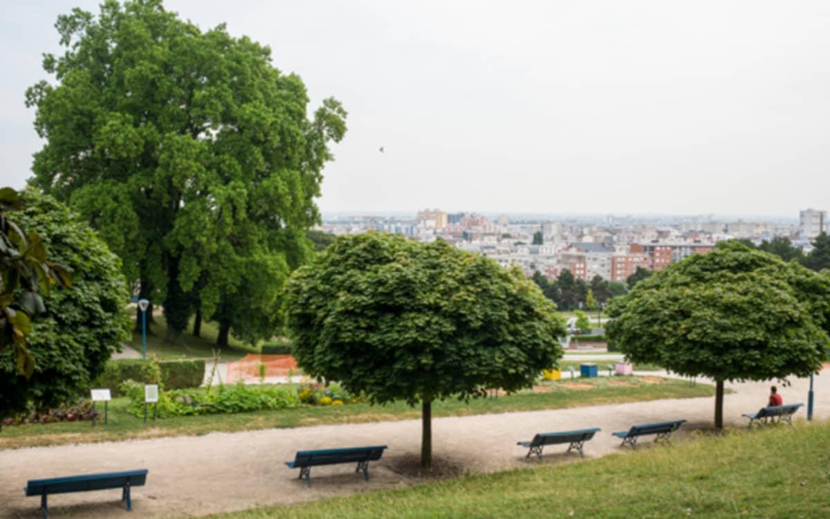 Illustration de l'événement : Visite guidée du Parc de la Butte du Chapeau Rouge