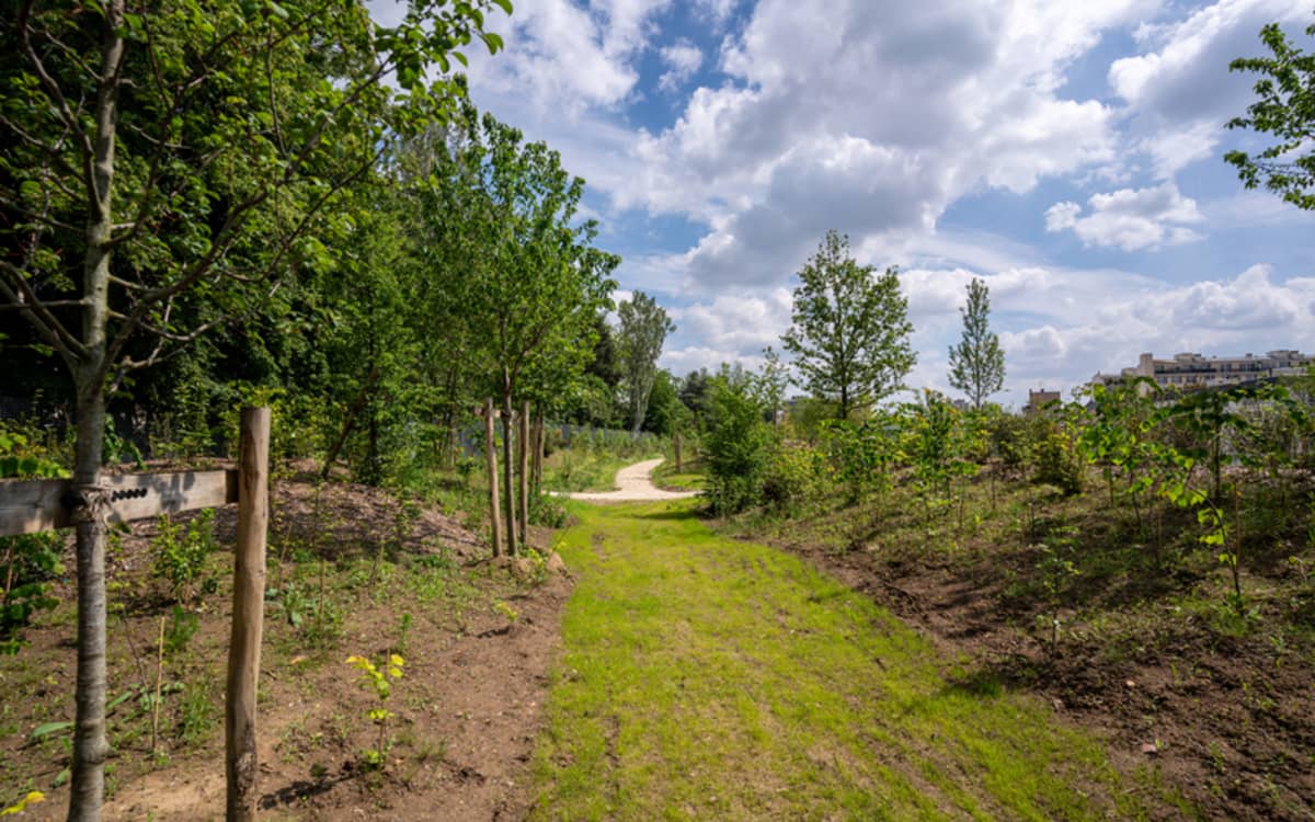 Illustration de l'événement : Balade urbaine de la Ferme de Charonne au Bois de Charonne