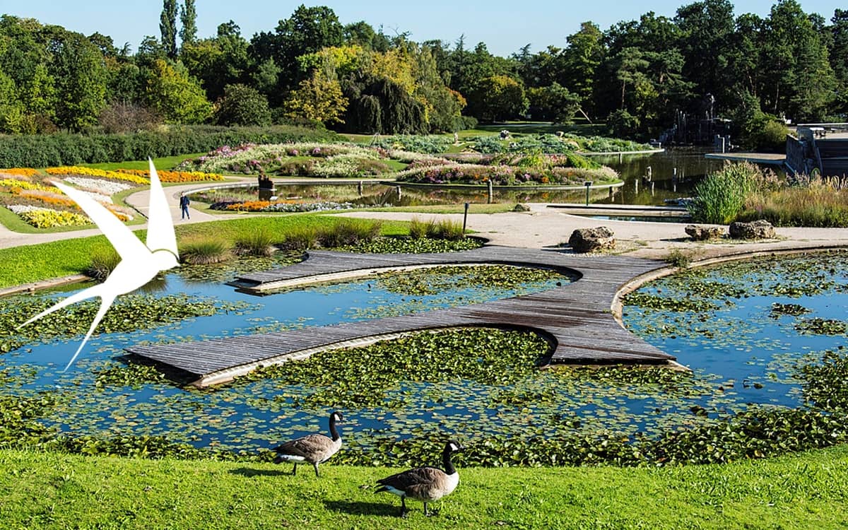 Illustration de l'événement : Sortie ornithologique au Parc Floral de Paris
