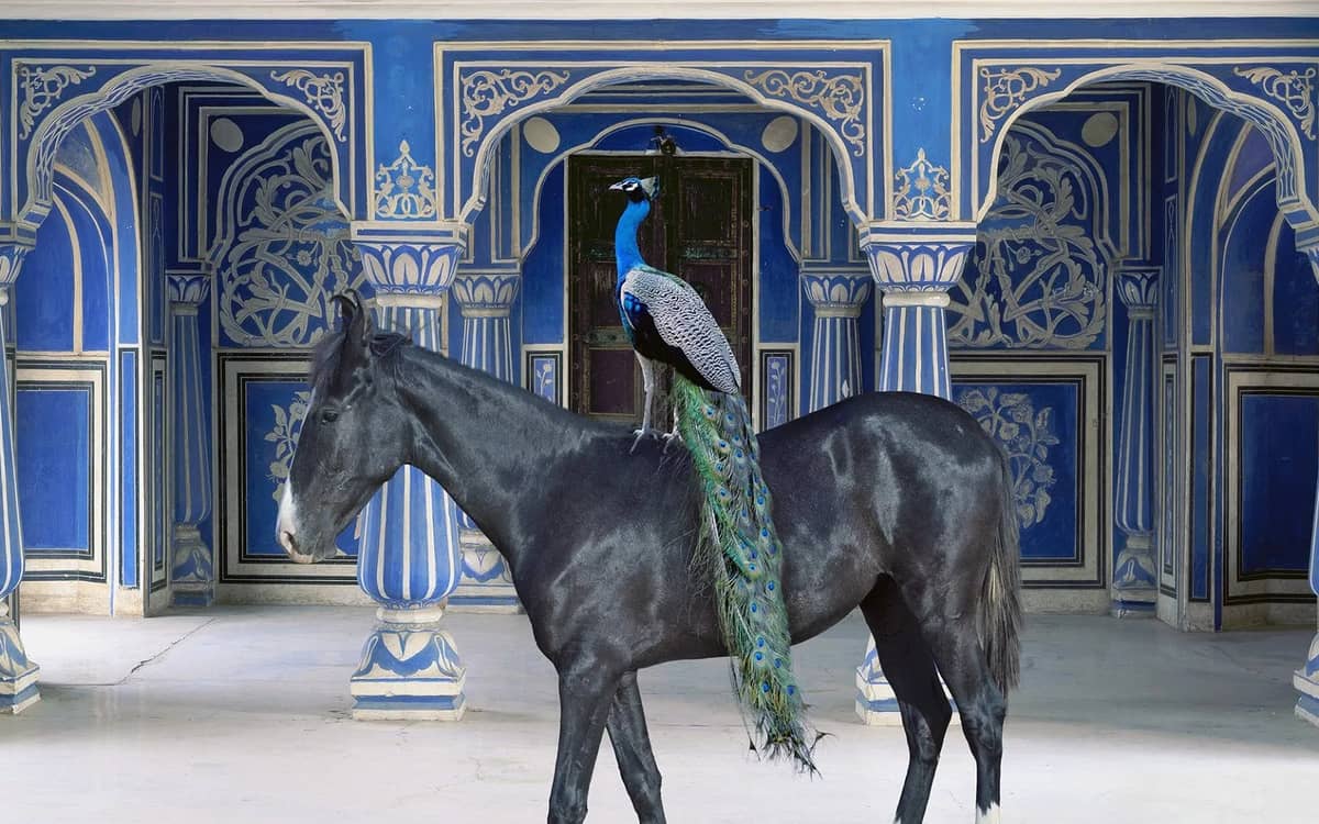Illustration de l'événement : Karen Knorr au musée Delacroix