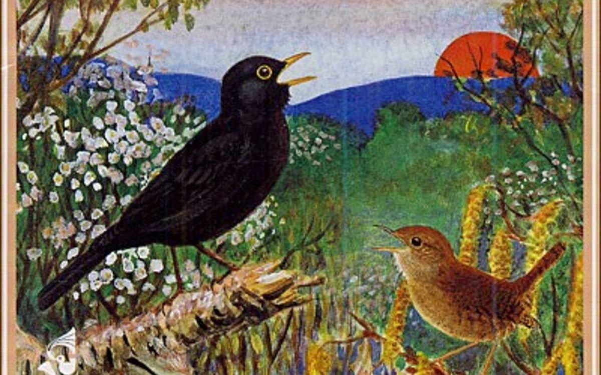 Illustration de l'événement : Le Grand bain : le réveil des oiseaux en Bresse