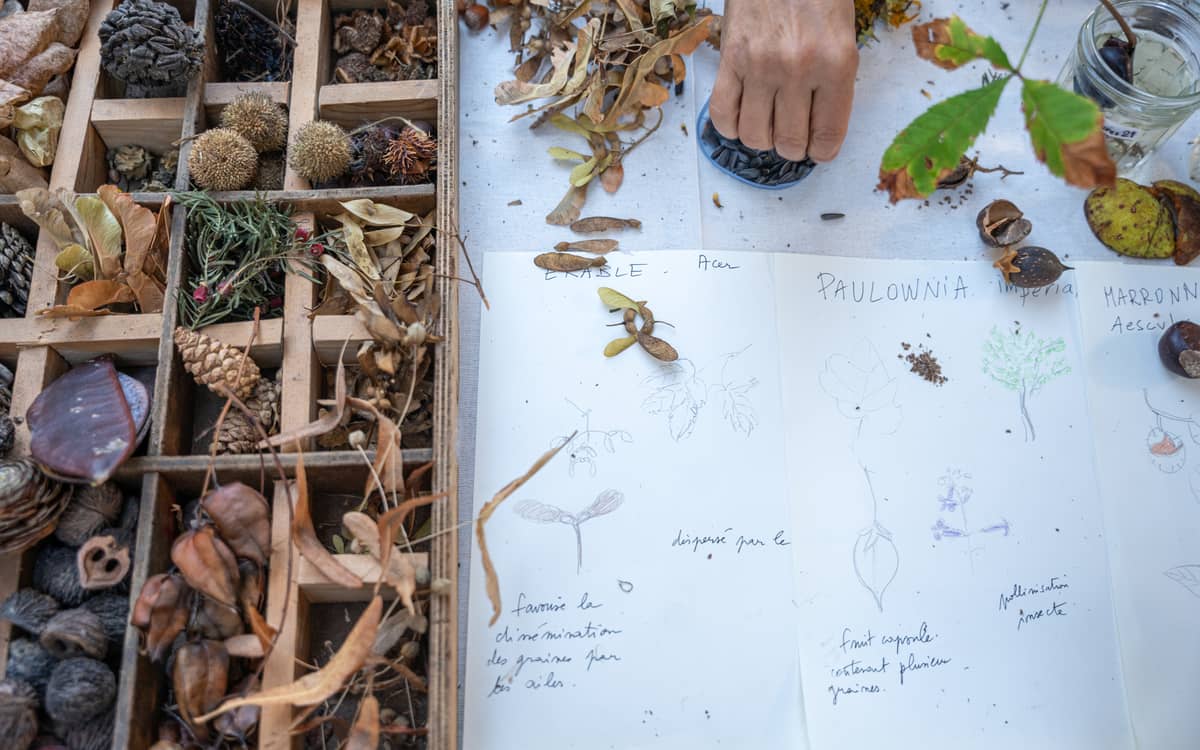Illustration de l'événement : Fête des jardins : Paris Centre célèbre la nature en ville !