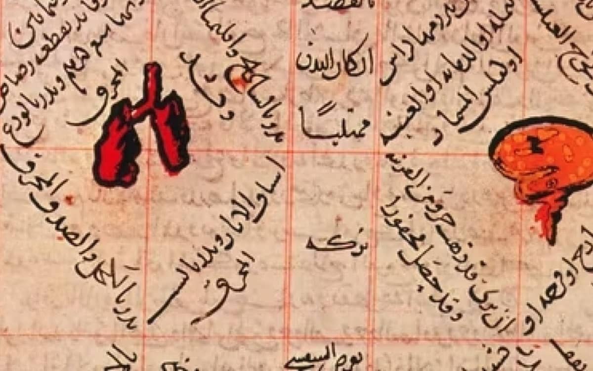 Illustration de l'événement : La guérison de l’âme : architecture et ambition du Kitāb al-Shifāʾ d’Avicenne