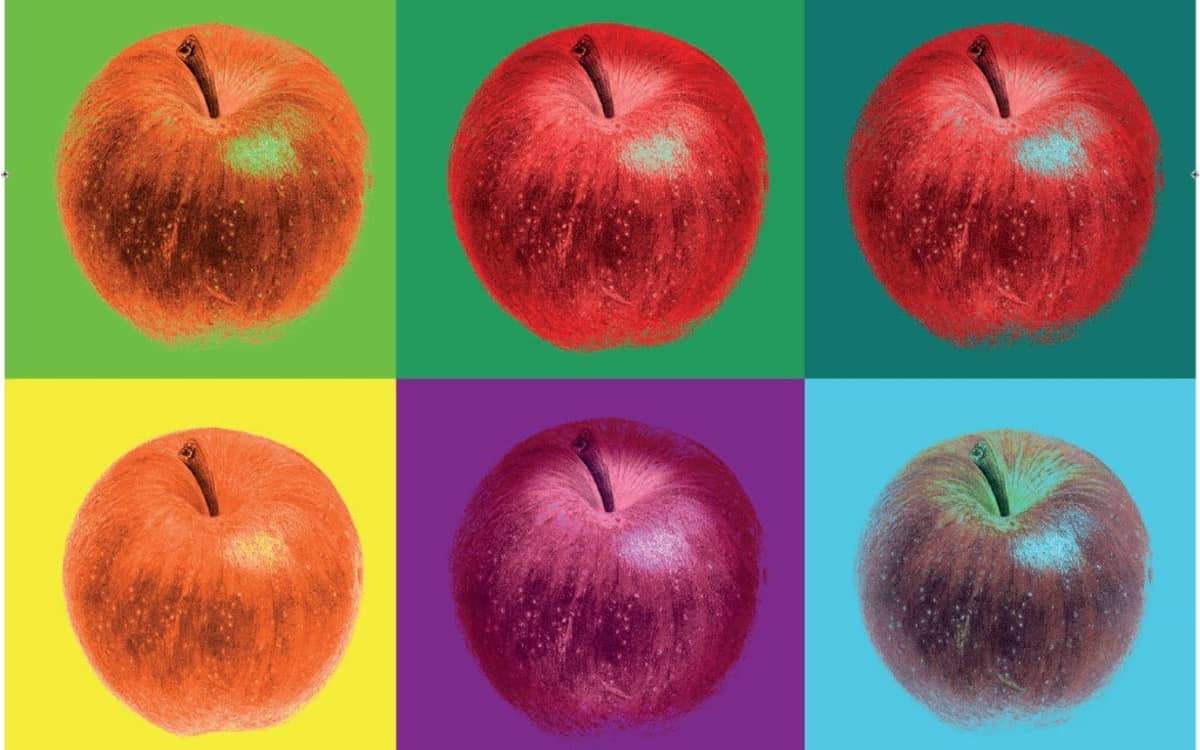 Illustration de l'événement : Exposition Pompompom Pommes !
