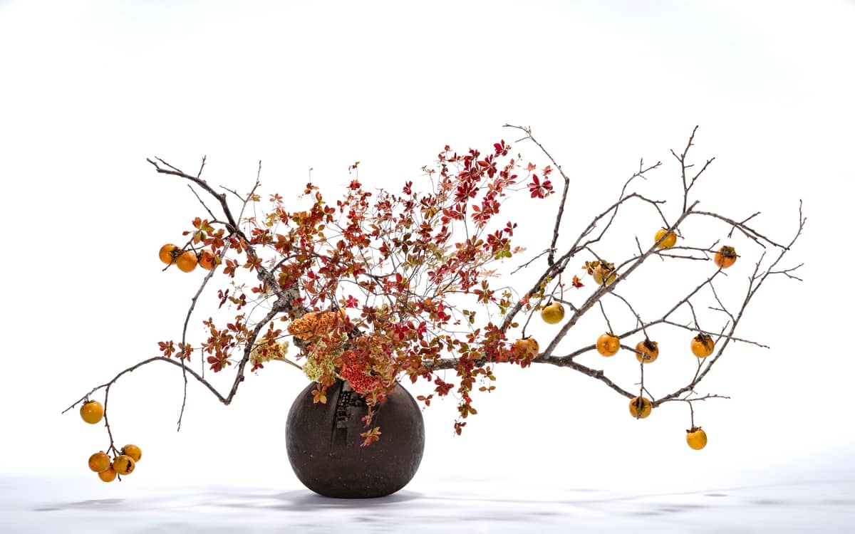 Illustration de l'événement : Projection "Dans une composition, une fleur est une personne"